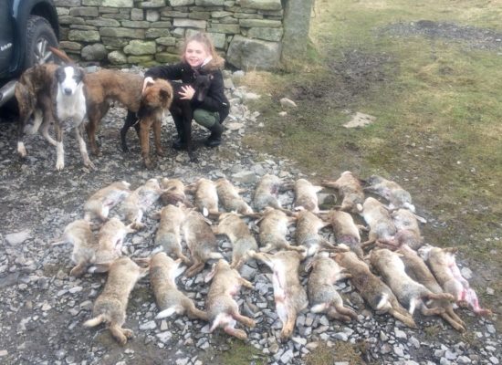 Alisha out ferreting