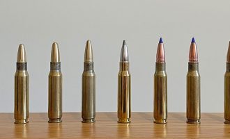 Lead-free Bullet Test