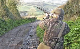 Guns and Rifles