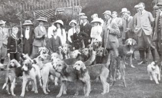Terriers