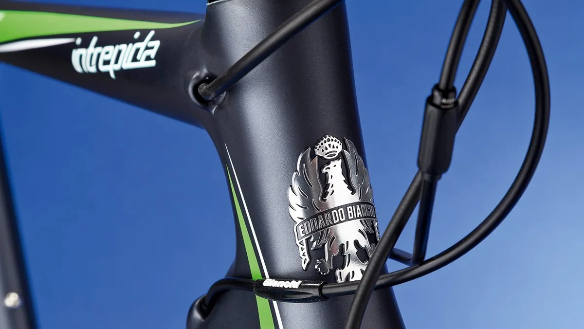 Bianchi Intrepida ジャンクフレーム Bianchi Intrepida ジャンクフレーム