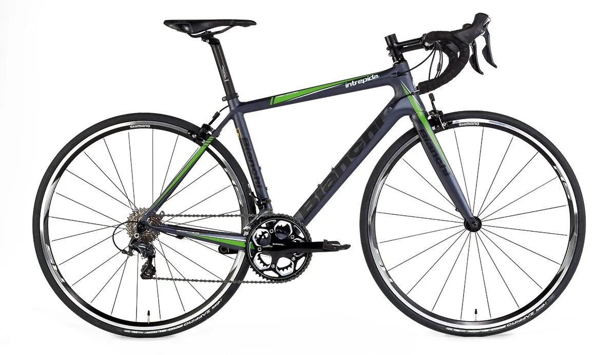 Bianchi Intrepida ジャンクフレーム Bianchi Intrepida ジャンクフレーム