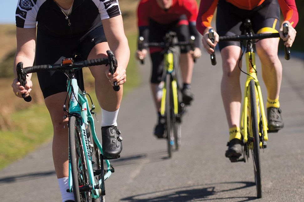 giant sportive bikes