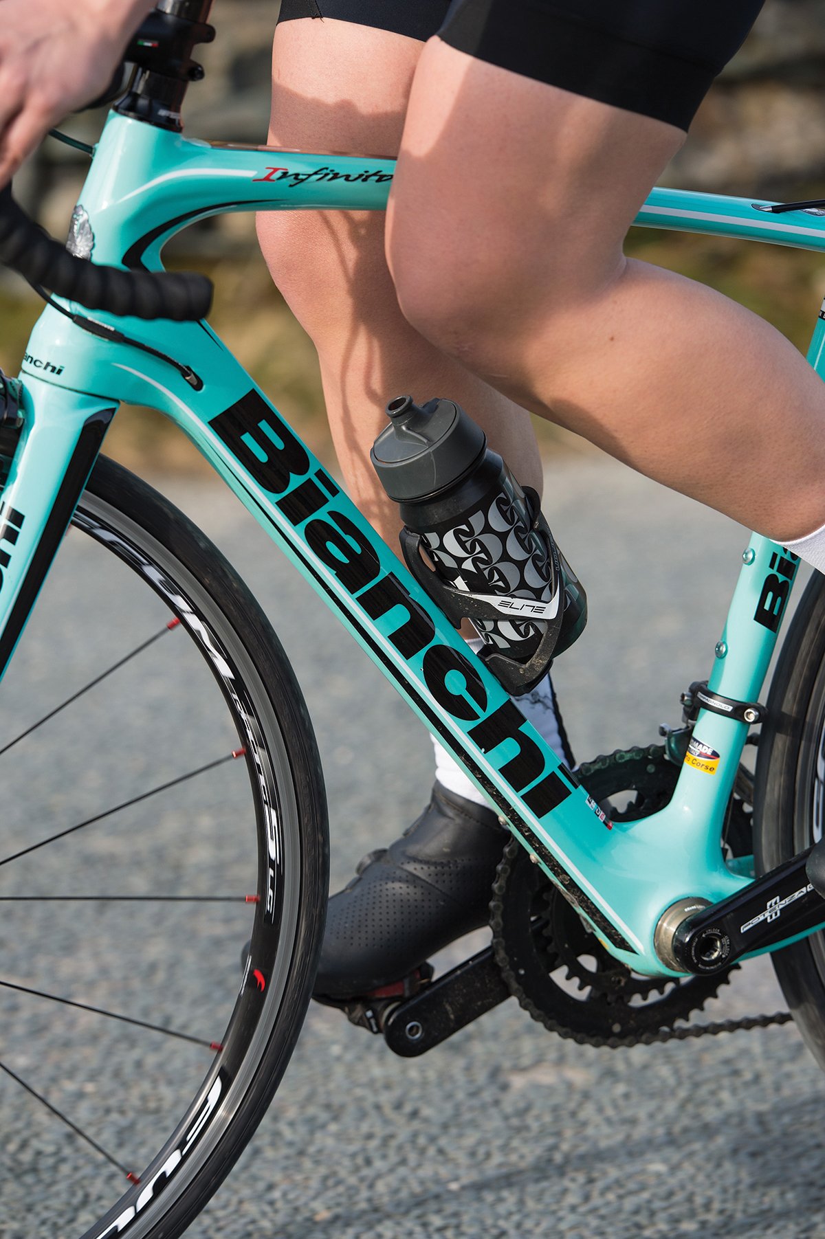 giant sportive bikes
