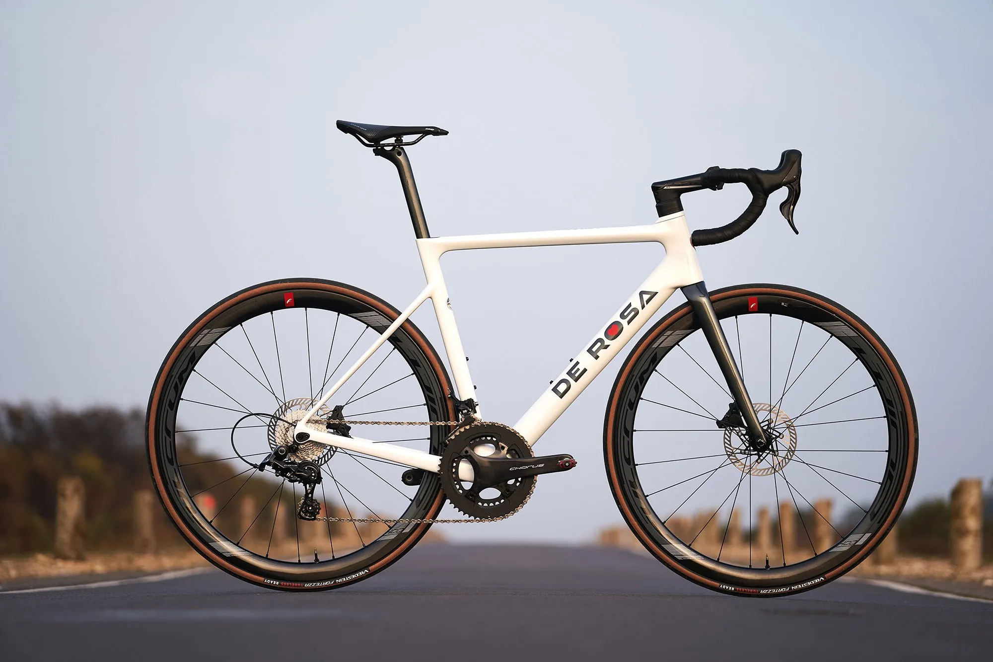 DE ROSA メラク Frameset Telaio De Rosa Merak De Rosa Merak Disc Frameset