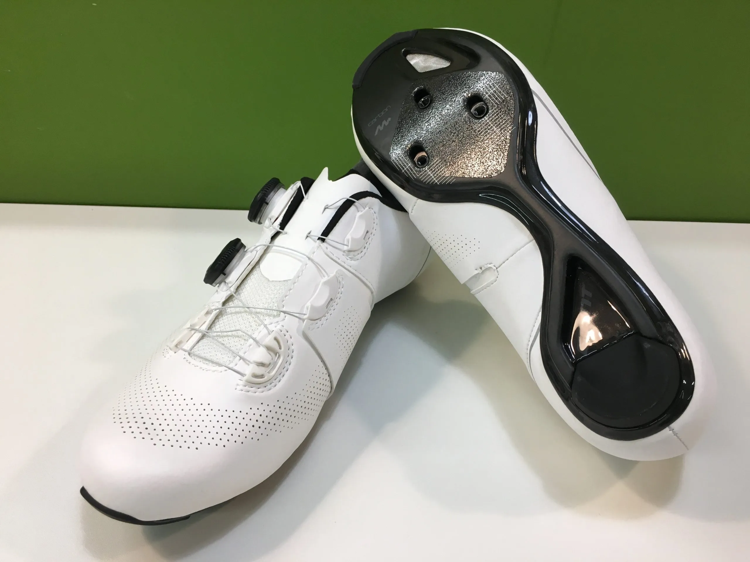 Giant Surge Pro shoes review