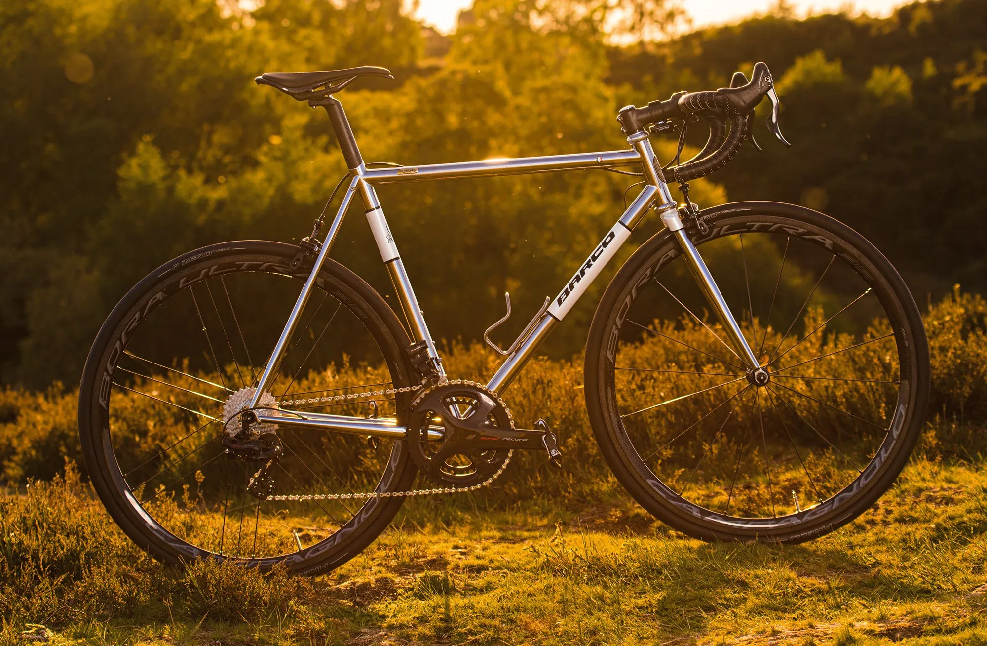 Custom Steel Best Steel Road Bikes 2019 RLT STEEL FRAME