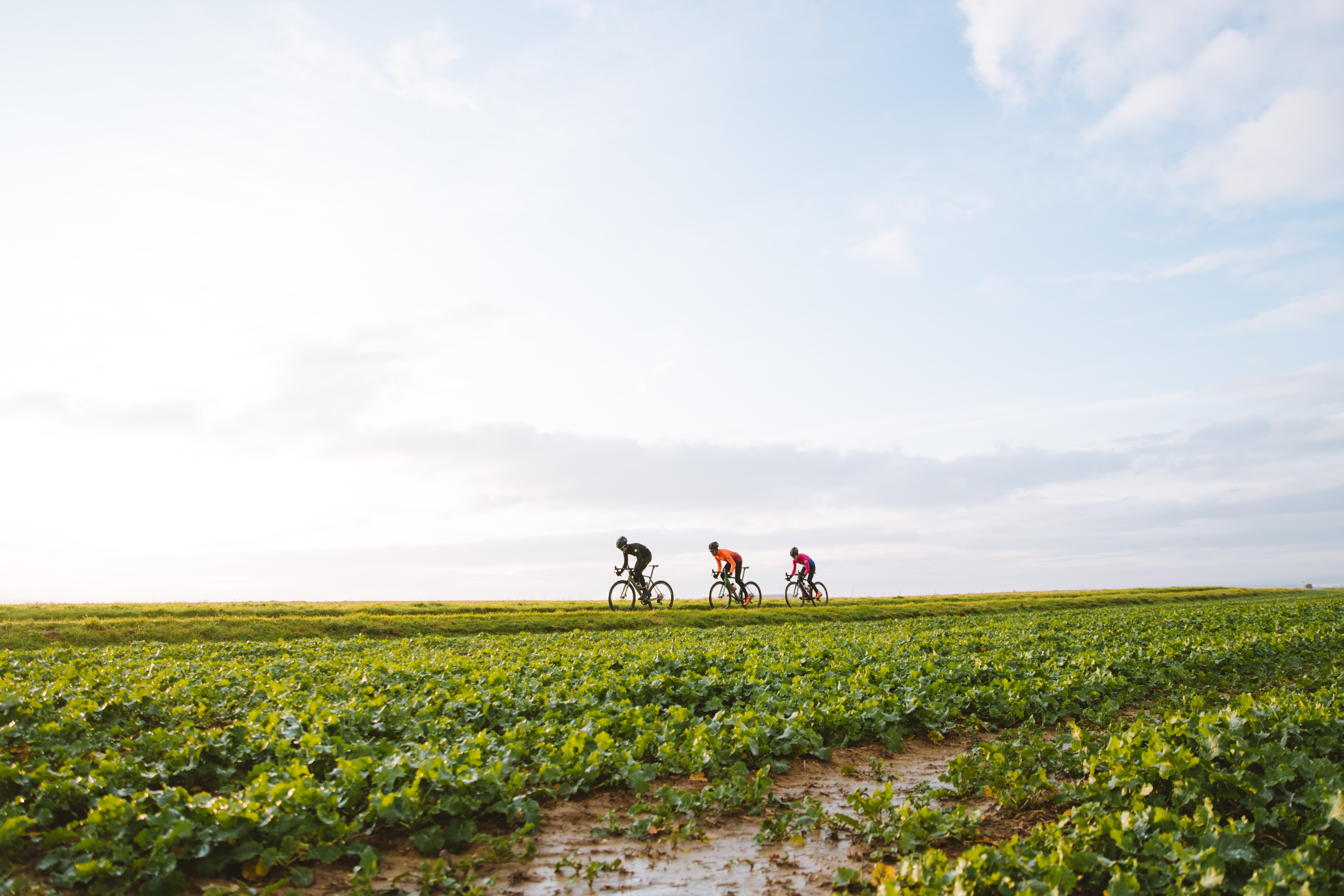 Wight Prestige New Isle of Wight gravel event promises challenging