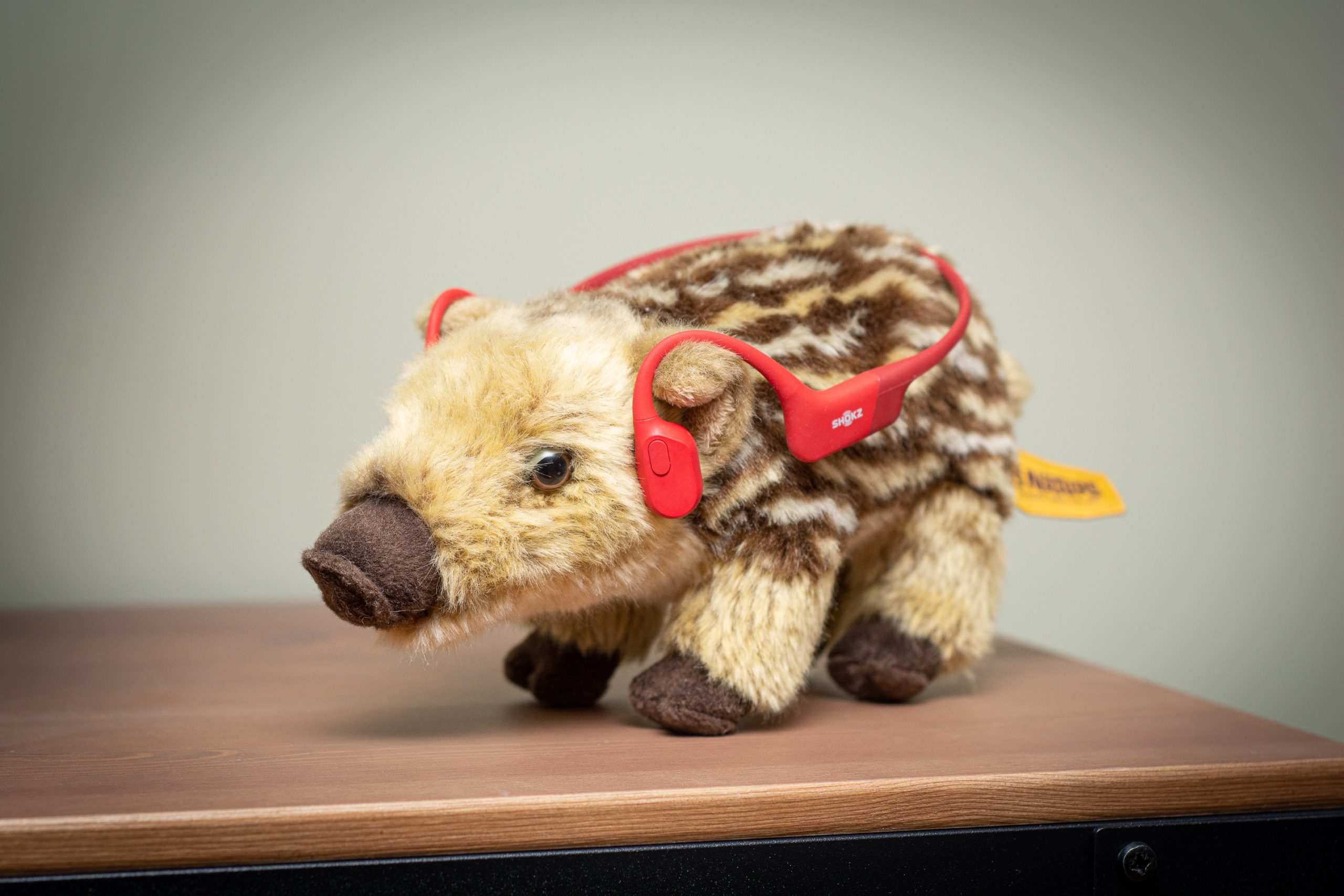 In the Drops: Shokz OpenRun, Rudy Project, Shimano and space | Cyclist