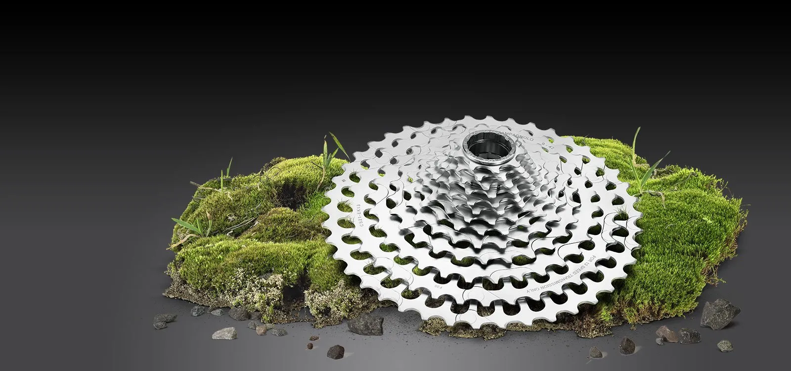 Campagnolo N3W wheels Buyer's Guide: Which are Ekar compatible