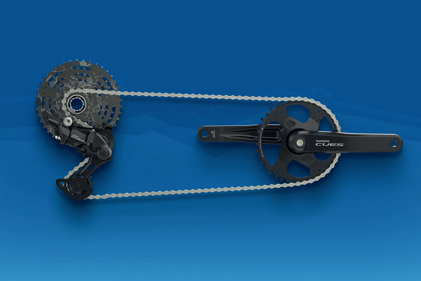 Drivetrain showing cranks, cassette, chain and RD