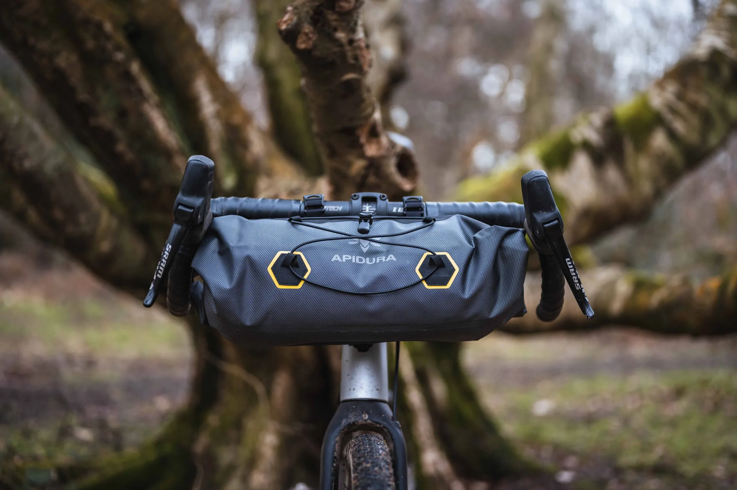Apidura4-scaled.webp