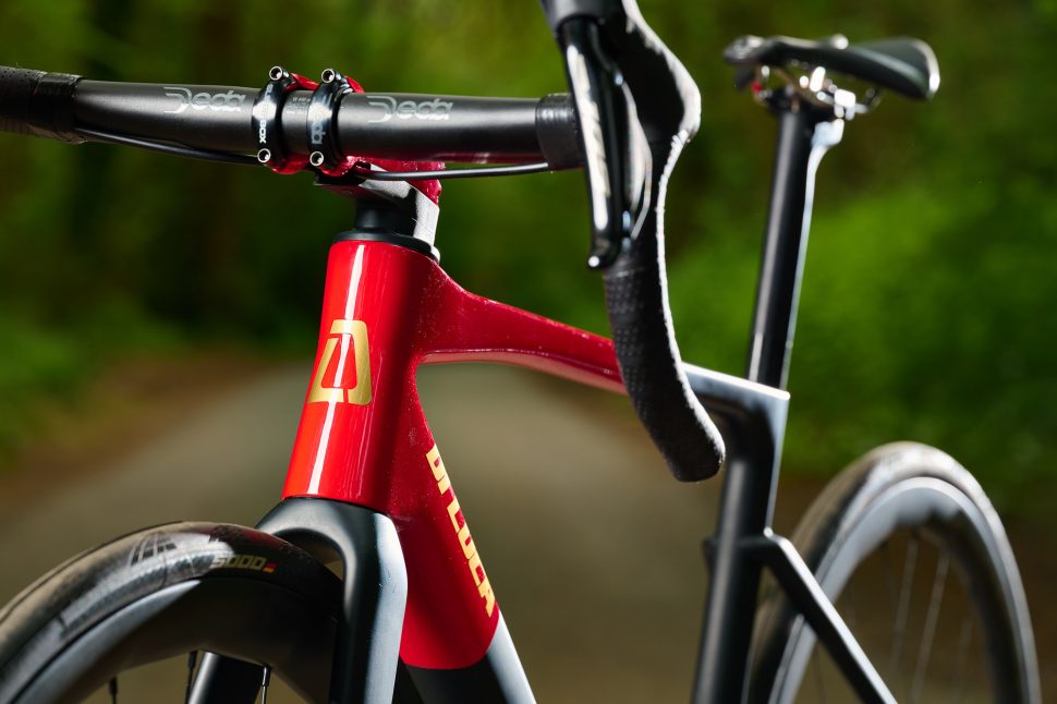 Di Luca Killer SLR2 bike