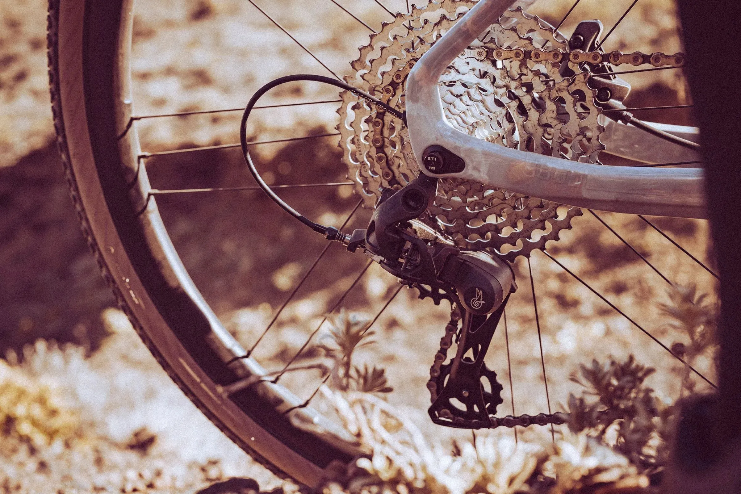Campagnolo-Ekar-GT-groupset-1