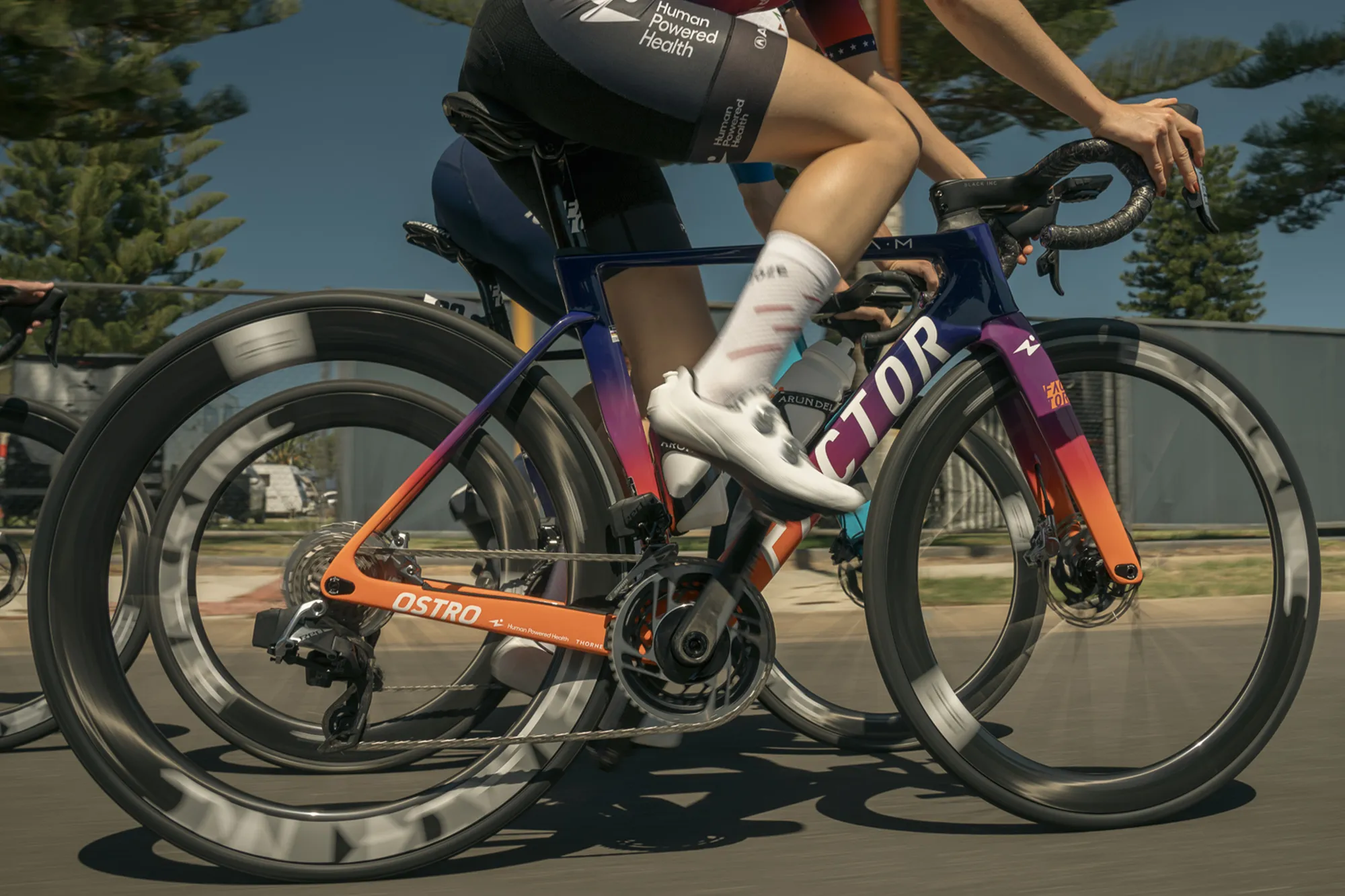 FACTOR OSTRO VAM 2.0 HPH Maisie Wilen 新型