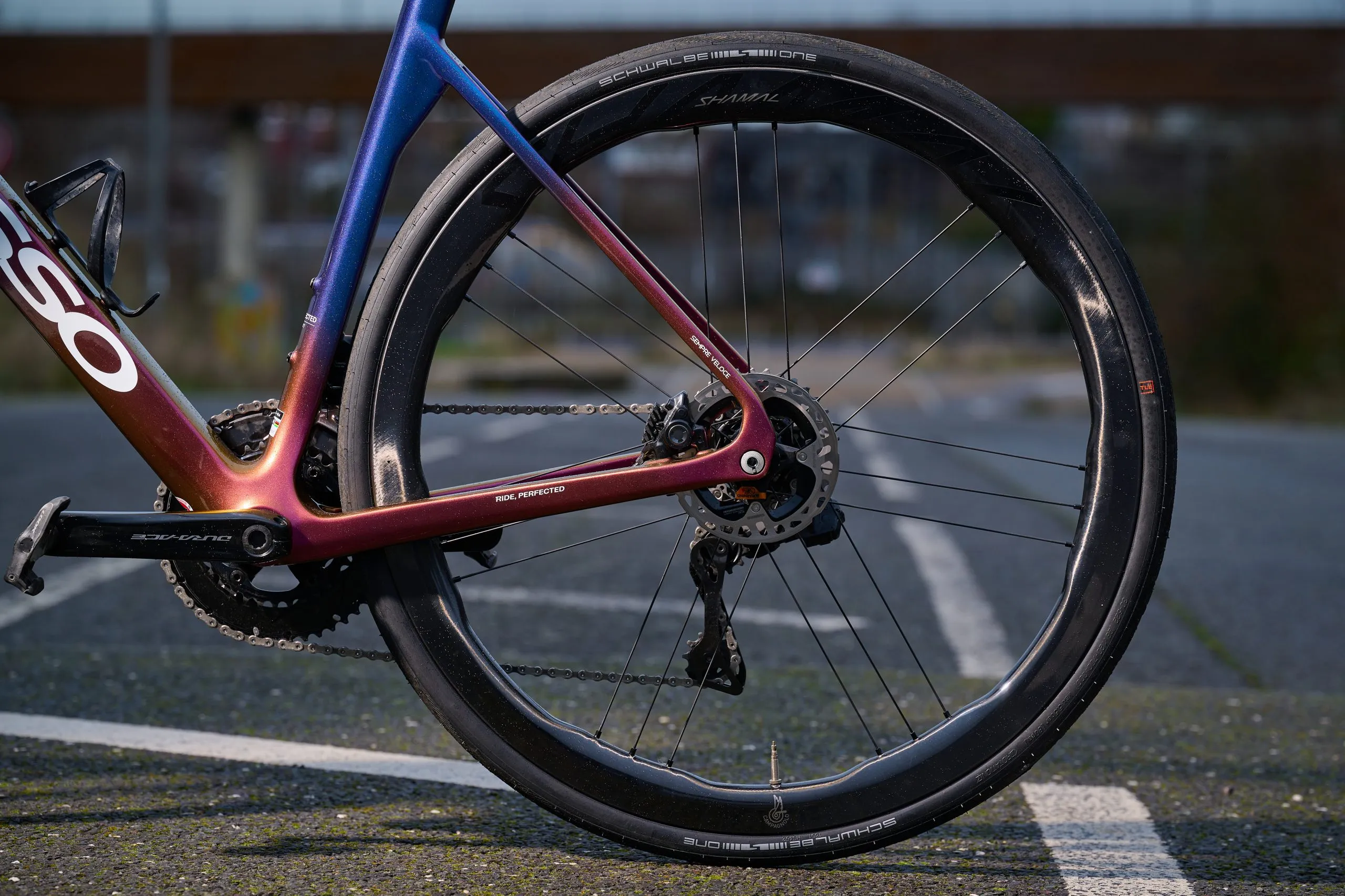 【新品未使用】Campagnolo SHAMAL DUAL PROFILE Campagnolo Shamal Dual Profile: the wheel that redefines